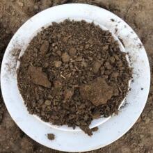 发酵牛粪有机肥广泛用于果树蘑菇种植发酵干牛粪有机肥批发
