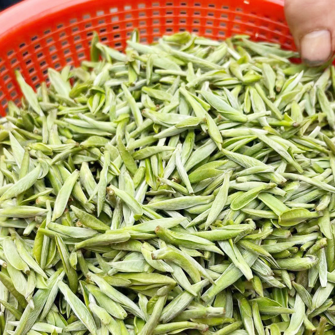 福鼎白茶2022年头春头采米粒芽白毫银针明前日晒散装白茶接受预定