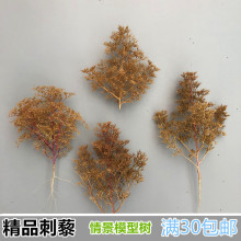 模型树场景diy手工作业建筑沙盘地台制作材料干燥花刺藜灌木