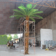 仿真椰子树 人造热带植物假树 人字皮棕榈扇葵叶椰果树绿化工程