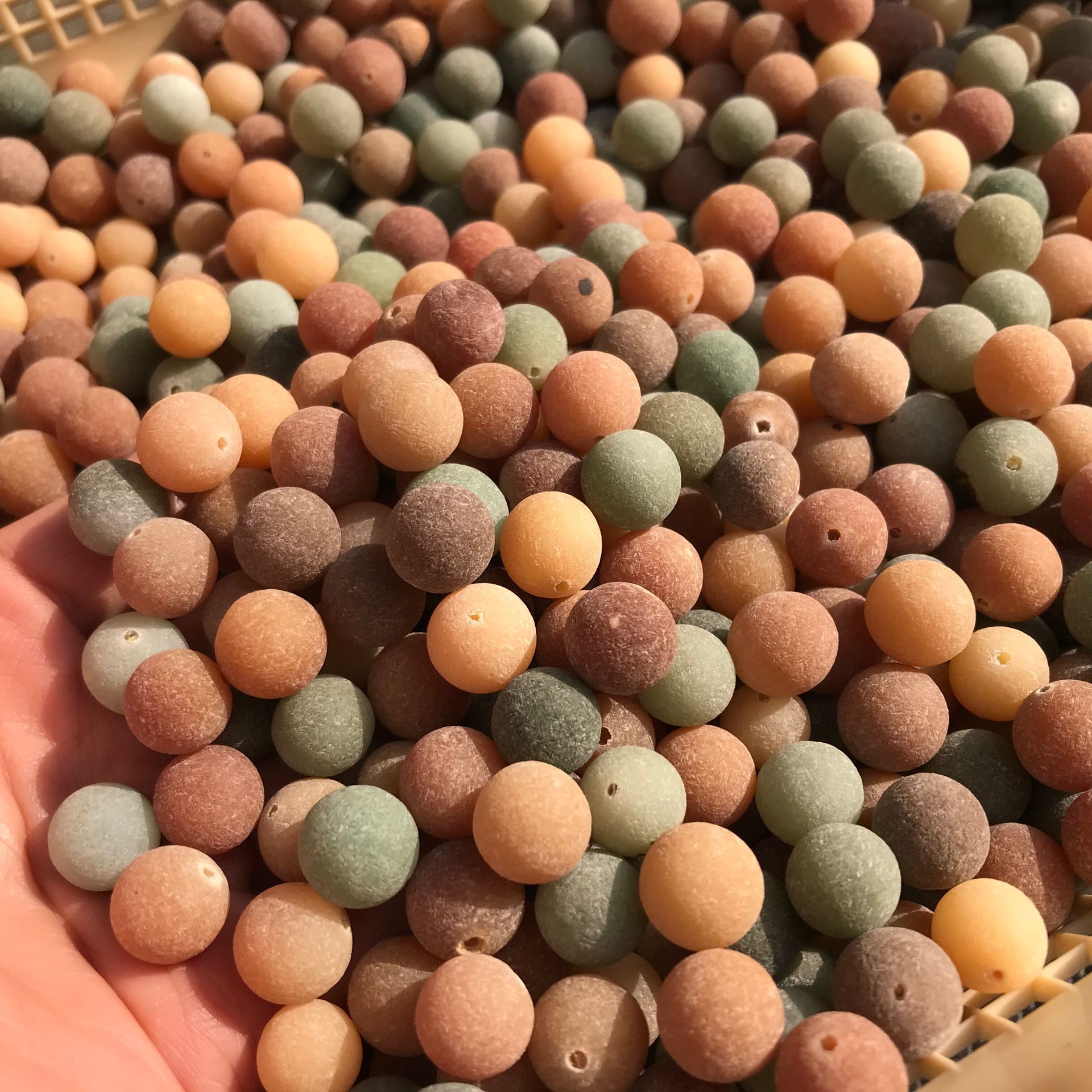 厂家供应菩提根原果 风化阴皮果菩提根 菩提根原籽 一件为一斤