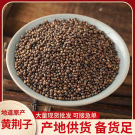 2%小型迷你盆景老桩舍利荆条树桩映山红黄栌红花熟