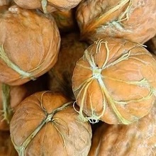 新货2025新鲜核桃四川薄皮核桃嫩核桃生核桃孕妇大果青皮鲜湿核桃