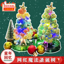 纸树魔法圣诞树开花diy神奇浇水生长结晶圣诞节儿童礼物手工玩具
