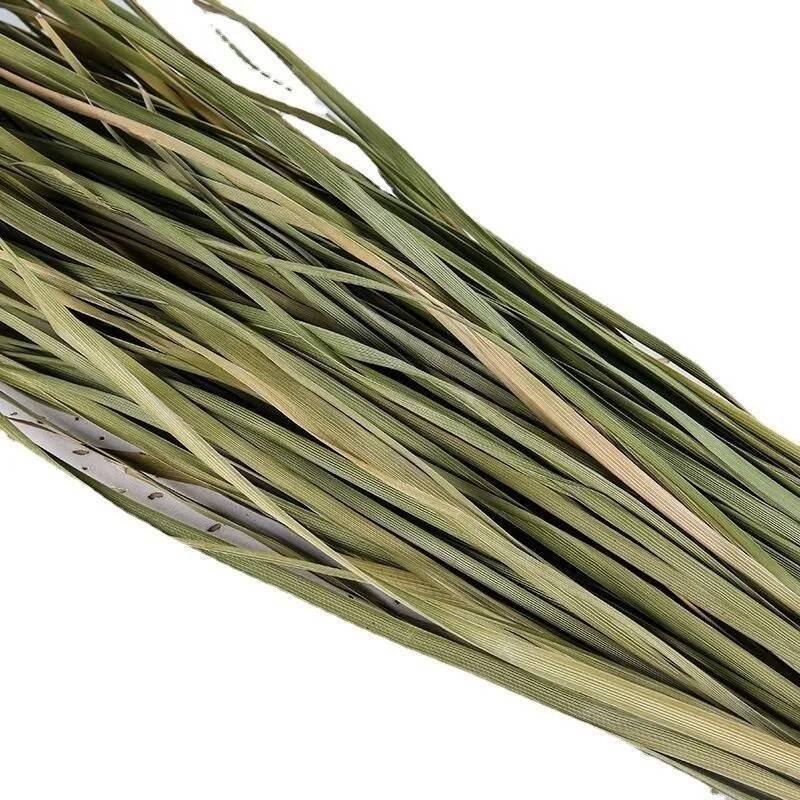 东北马莲草 马蔺草 马兰 绑扎螃蟹绑扎绑粽子粽绳