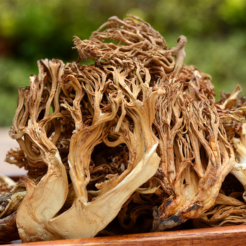 新货云南土特产煲汤食材农家干菌食用野生菌珊瑚菌菇类干货扫把菌