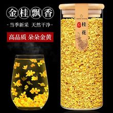 桂花干花桂林金桂花新鲜可食用泡水冲饮非花茶叶新茶泡茶