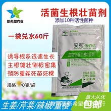 安克 活菌生根壮苗剂 生姜芹菜辣椒重楼柴胡生根壮苗防死棵 40g