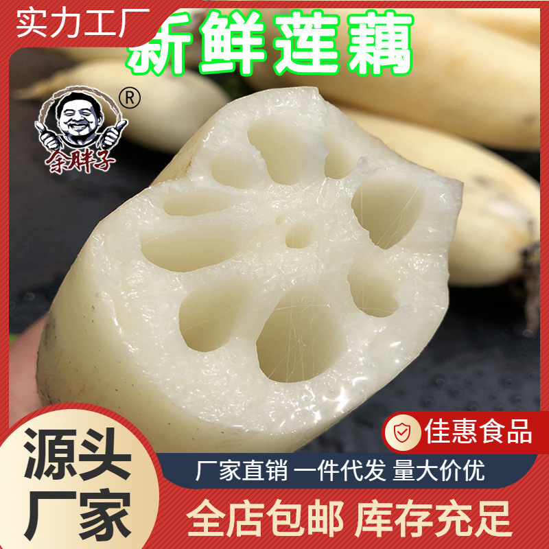 余胖子湖北洪湖莲藕尖带新鲜现挖凉拌嫩脆藕特产小水果新花藕莲菜