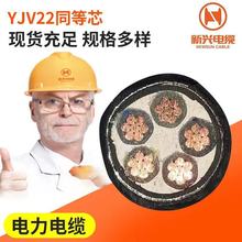 新兴YJV22同等芯低压阻燃国标电力电缆工程项目铠装电线电缆批发