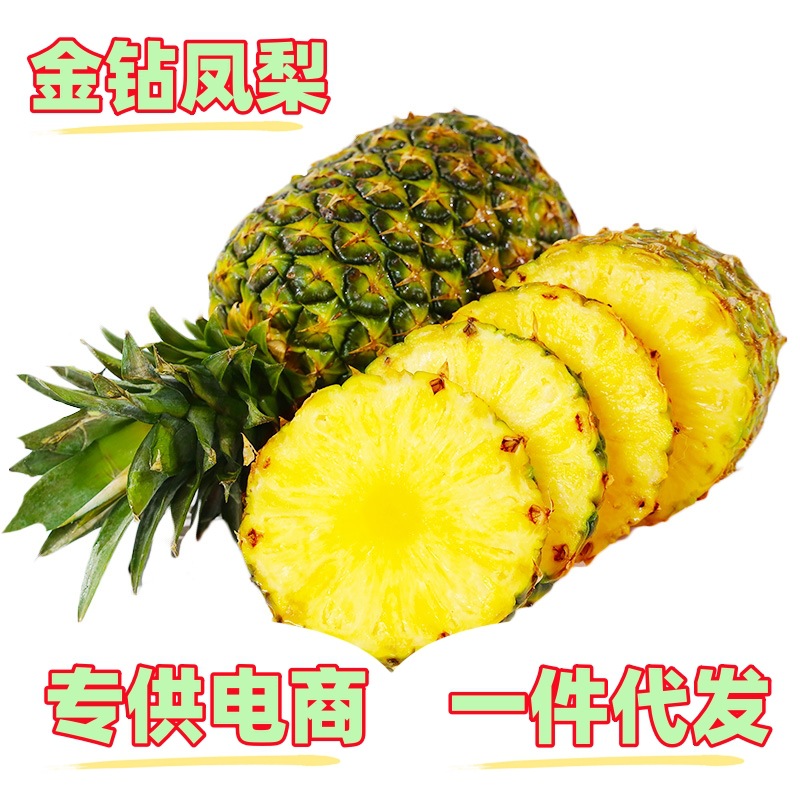 一件代发 海南金钻凤梨热带当季新鲜现摘水果8斤手撕凤梨非菠萝