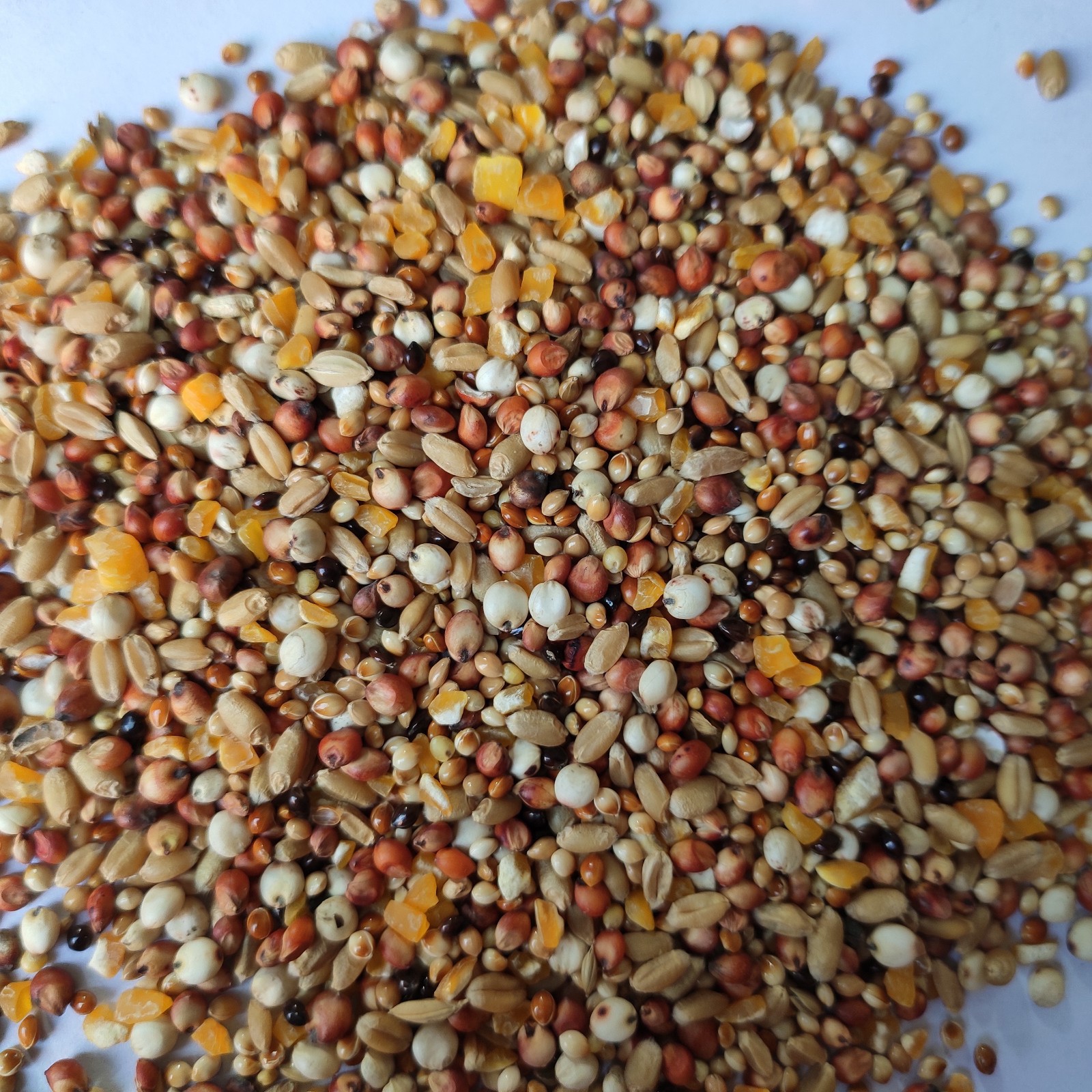 斑鸠粮竹鸡粮山鸡粮鸡饲料斗鸡粮仓鼠粮4合1鸽粮鸟食饲料5斤包邮