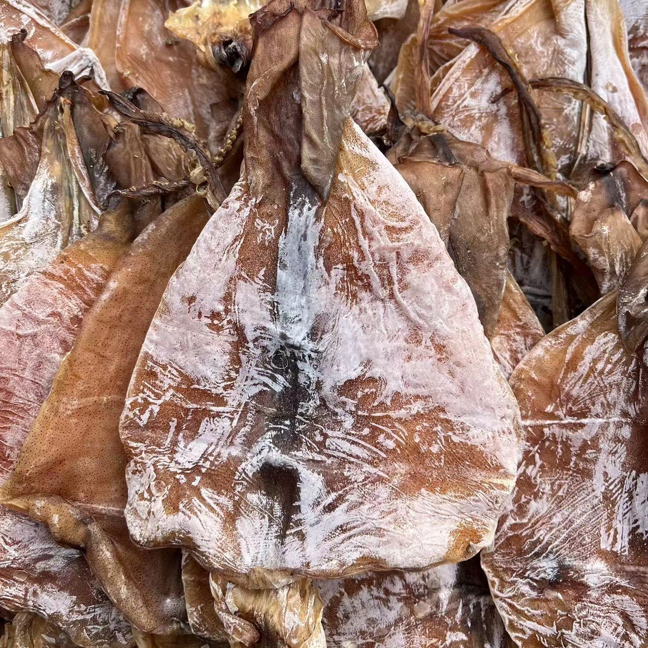 鱿鱼干 晒干 鱿鱼批发  水发鱿鱼 餐饮火锅烧烤