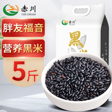 赤川  黑米2.5kg    黑米批发   杂粮饭   杂粮粥  营养好物
