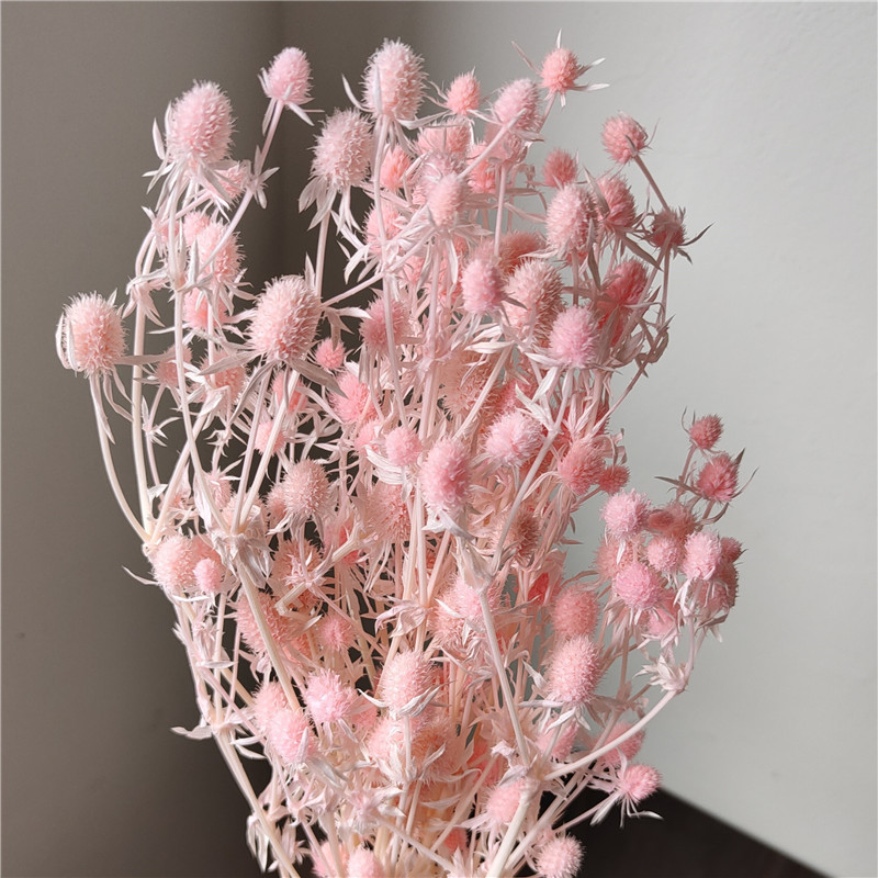 云南花情人果小刺芹花材diy干花花束ins家居装饰插花浮游瓶