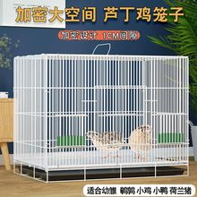 芦丁鸡笼子家用养殖加密养鸡笼鹌鹑笼小兔子笼小猫笼幼鸭笼鸟笼子