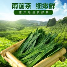 甄选 茶叶绿茶布尖猴魁新茶安徽黄山太平原产地特产100g/250g罐装