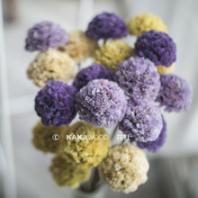 北欧家居软装植物干花干果干燥花束搭配新娘婚礼花束浪漫彩色花球
