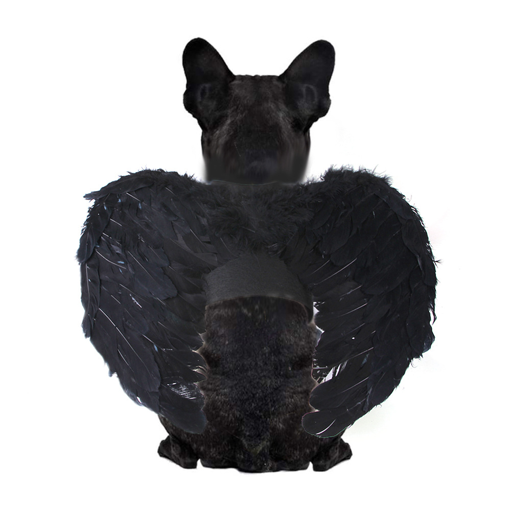 Factory Supply Pet Christmas Halloween Holiday Cosplay Angel Wings Costume Pet Cats Dogs Creative Angel Wings Decoration