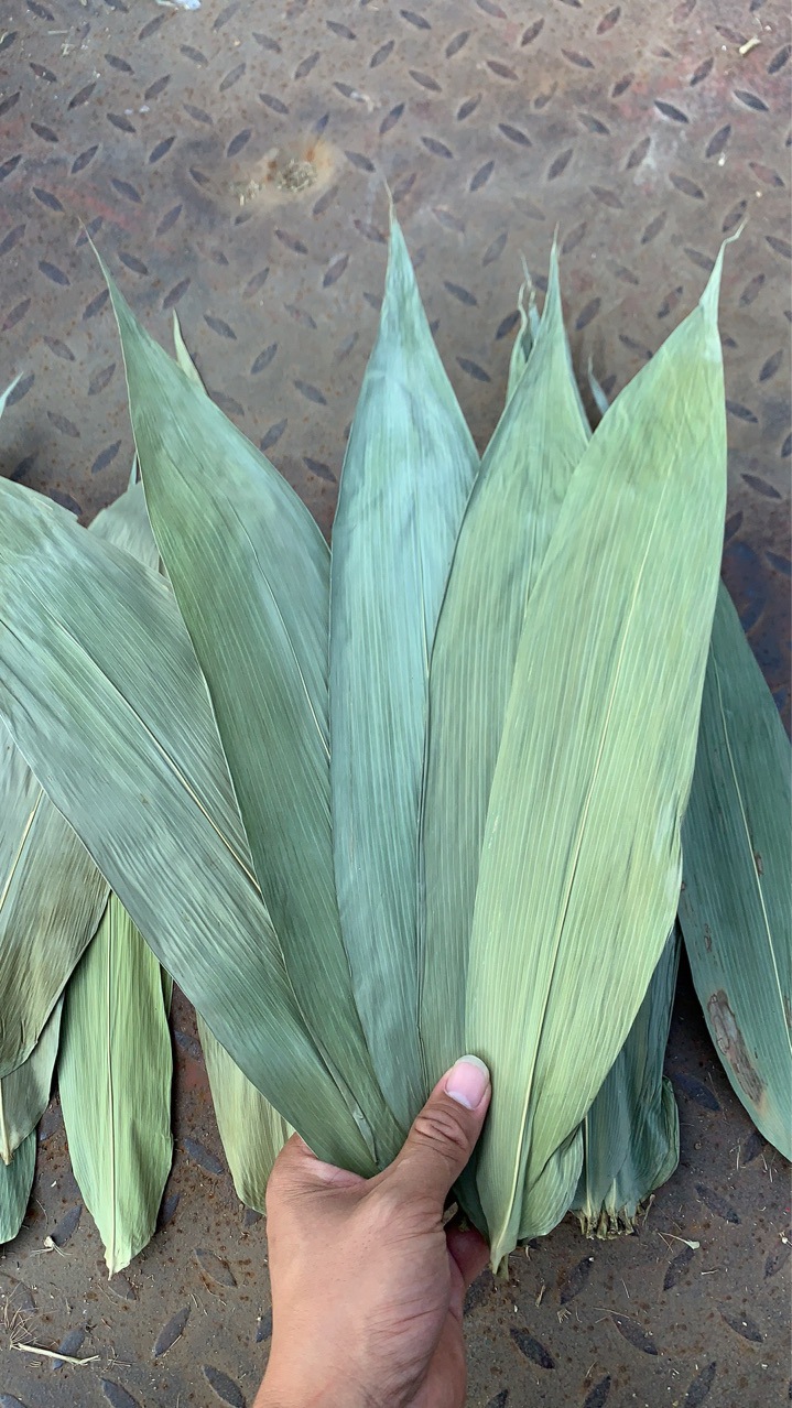 粽叶厂家批发50斤大包装端午节竹叶麻竹叶粑粑叶黄粑叶箬叶廖叶