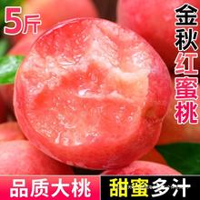 T金秋红蜜桃子水果新鲜5斤当季整箱包邮油脆甜桃毛密3冬桃顺
