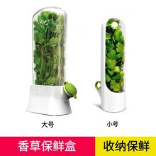 亚马逊shein 跨境香草蔬菜保鲜盒防压坏环保保鲜器创意香菜保鲜杯