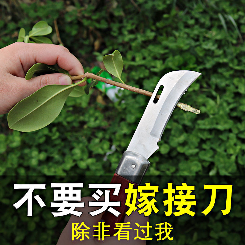 专业果树嫁接刀苗木芽接刀神器锋钢嫁接器园艺嫁接果树工具全套