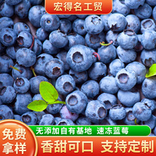冷冻新鲜水果 速冻6-9mm美登蓝莓小果 糕点装饰 蓝莓果酱饮品必备