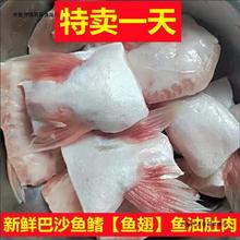 新鲜巴沙鱼鳍鱼翅鮰鱼翅水产冷冻尾巴鱼刺下巴烧烤食材比龙利鱼好