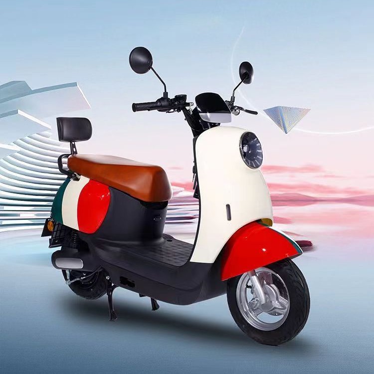 小龟王正品原装电动电动摩托车国标电轻摩两轮特价电动车新款