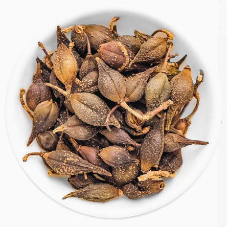 连翘 中药材连翘茶 青翘 落翘 连召 可磨连翘粉 当年新货产地直发