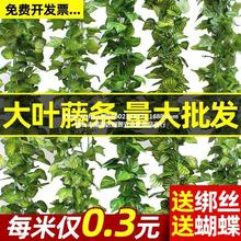 植物藤条爬山虎葡萄叶绿树叶塑料假花水管道缠绕藤蔓吊顶装饰