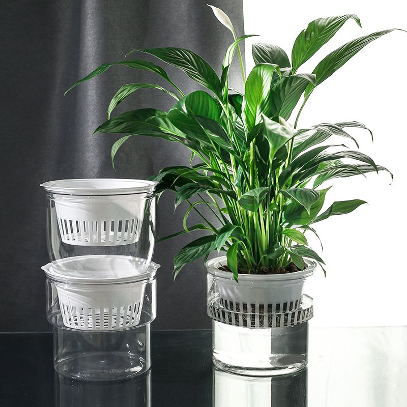 美轩仿玻璃水培花盆透明简约树脂创意桌面耐用绿萝控根种植盆批发