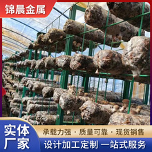 镀锌管菌架 大棚养殖蘑菇架绿色网片食用菌网格培养架平菇种植架