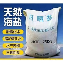 现货批发50KG装精制工业盐氯化钠 99%含量水处理用国标精制工业盐