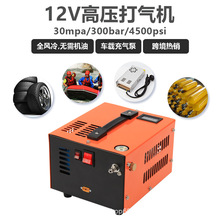 跨境热销车载高压打气机30mpa充气泵户外潜水12v/110V/220V风冷