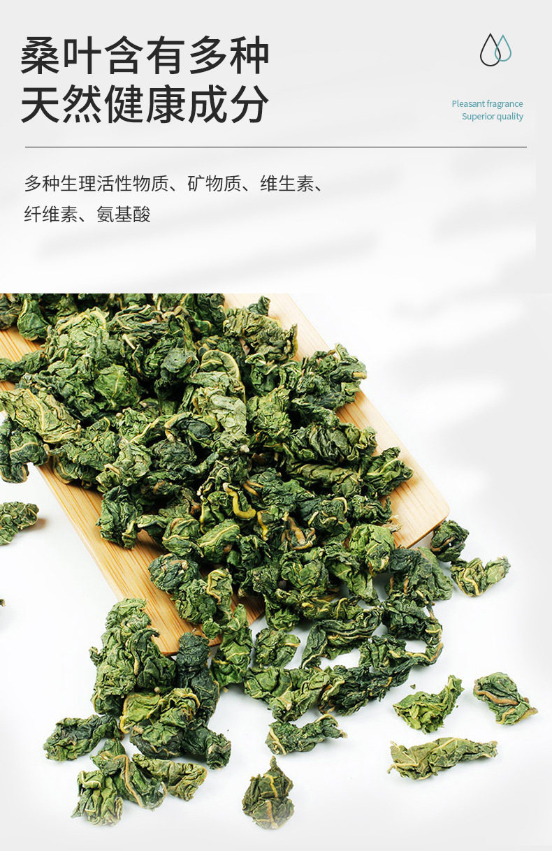 光明山无糖桑叶油切茶整箱批发低 脂低 卡油切茶清补500ml*15瓶