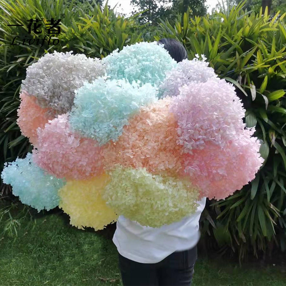 花者云南厂家直销糖果色永生花绣球 渐变单支香枫安娜绣球批发