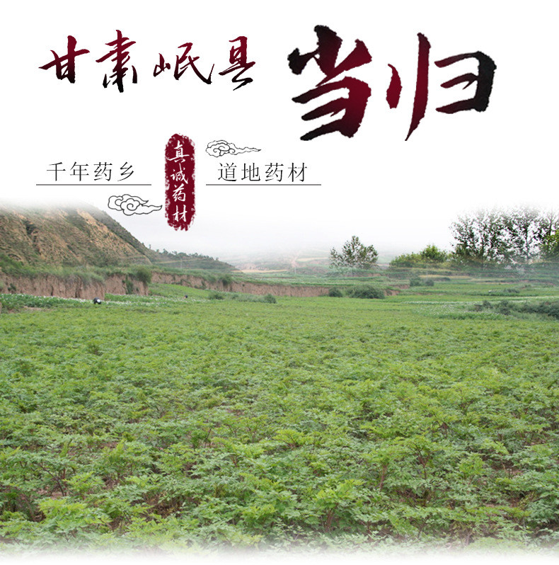 当归甘肃岷县特产中药材全当归片无硫当归条批发当归粉产地当归尾