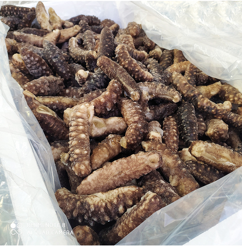 野生海参土耳其即食500克爱琴海刺参非大连即食辽参顺丰发货