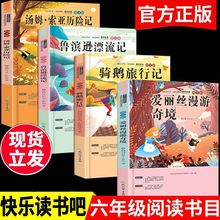 六年级爱丽丝漫游奇境/骑鹅旅行记/鲁滨逊漂流记正版原著课外书目