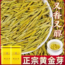 黄金芽2023新茶明前安吉白茶高山绿茶茶叶春茶批发多规格包邮