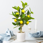 创意仿真柠檬树盆栽仿真水果树枝绿植装饰摆件客厅摆设橘子树