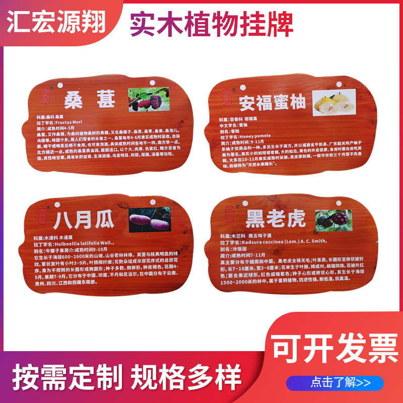 实木植物挂牌树木铭牌 植物绿化标识志牌 花草介绍挂牌认养牌批发