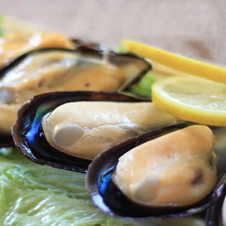 新鲜新西兰青口贝冻半壳蓝口贻贝翡翠贝淡菜海鲜水产5kg/箱批发