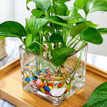简约水培多肉花盆正方形玻璃花瓶透明绿萝水养植物器皿摆件插花