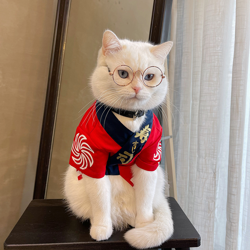 猫咪狗狗衣服冬季薄款公猫帅气宠物猫布偶猫和服夏季防掉毛秋季