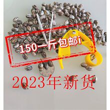 新货杨拉罐坦克虫高蛋杨拉罐钓鱼柳根活鱼饵料 宠物零食仓蜜袋鼯