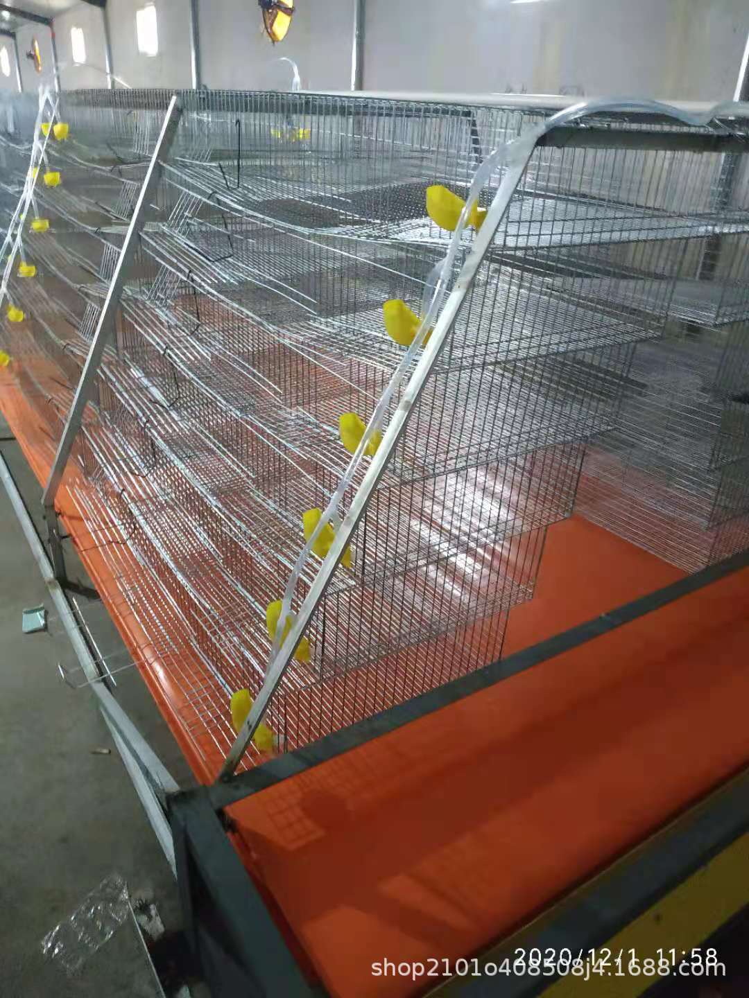 梯形鹌鹑笼,直型鹌鹑笼,各种鹌鹑清粪机,省力又省工结实好用