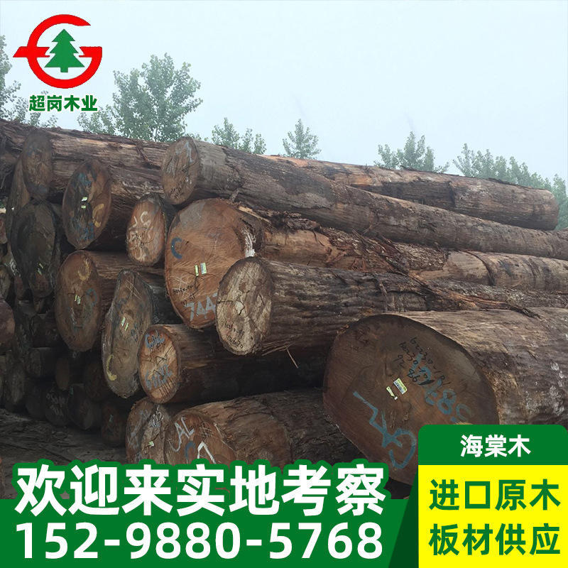 非洲海棠木冰糖果原木  大径原木家具料批发